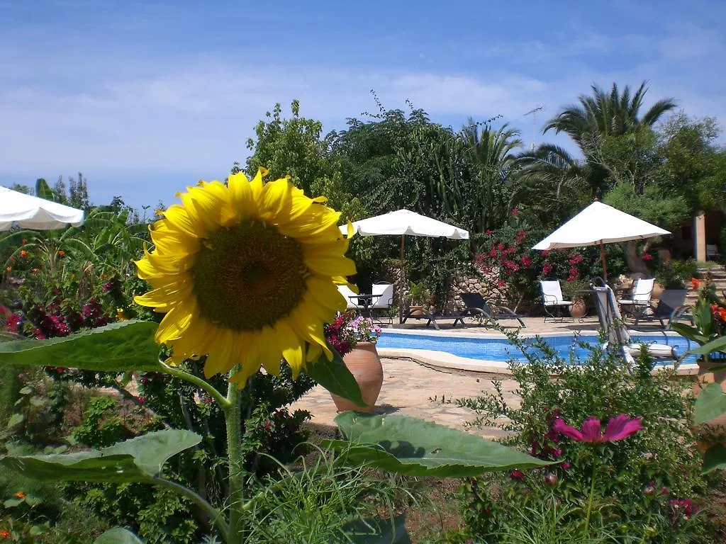 Agroturismo Na Set Centes - Adults Only Artá